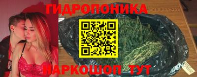 a pvp Кингисепп