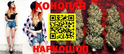 a pvp Кингисепп