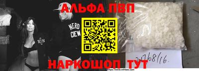 a pvp Кингисепп