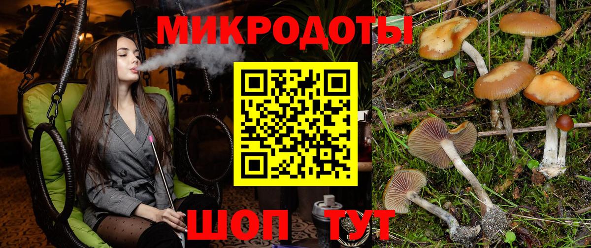 цена   Вход с VPN  Псилоцибиновые грибы прущие грибы  Конаково  Псилоцибиновые грибы прущие грибы 